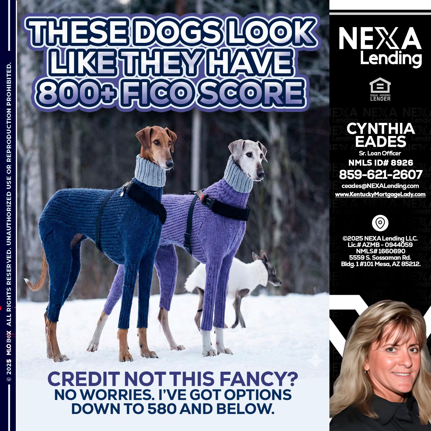 THESE DOGS LOOK - Cynthia Eades -Sr. Loan Officer